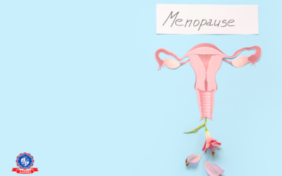 Perimenopause, Hair Loss, and the Stylist’s Role in Holistic Hair Health