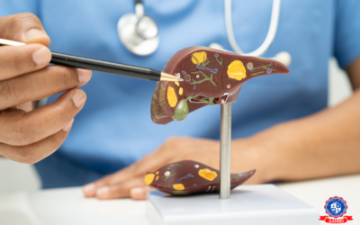 How Liver Health Impacts Hair Loss: The Hidden Connection Explained
