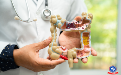 The GI Tract and Immunity: A Powerful Duo for Health and Wellness